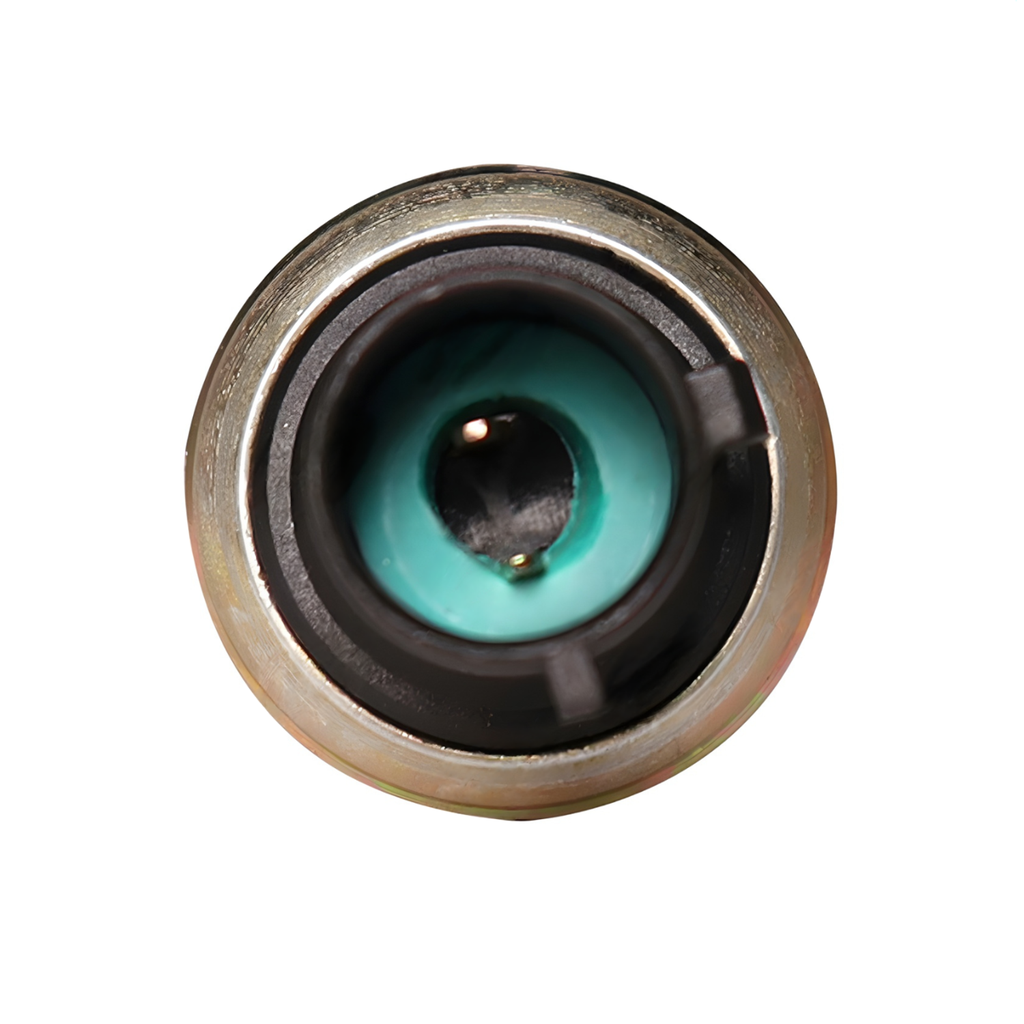 switch_de_baja_presion_navistar_1676786c1_arc6786_detalle