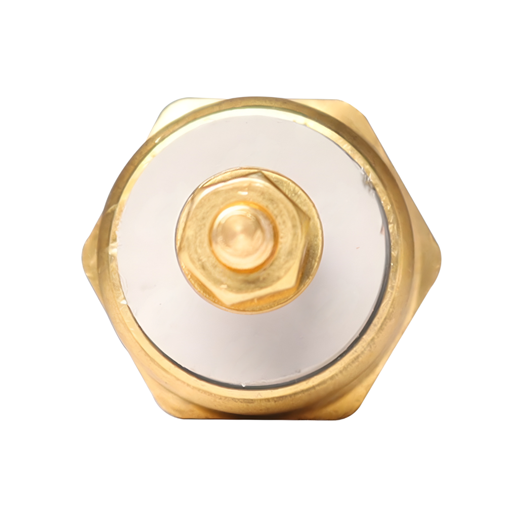 interruptor_de_temperatura_del_refrigerante_universal_1655816c1_arc5816_detalle