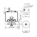bolsa_de_aire_firestone_suspension_freightliner_columbia_del_ab1dk10a_9911_diagrama