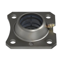 Buje Gavilan Fierro (solo)